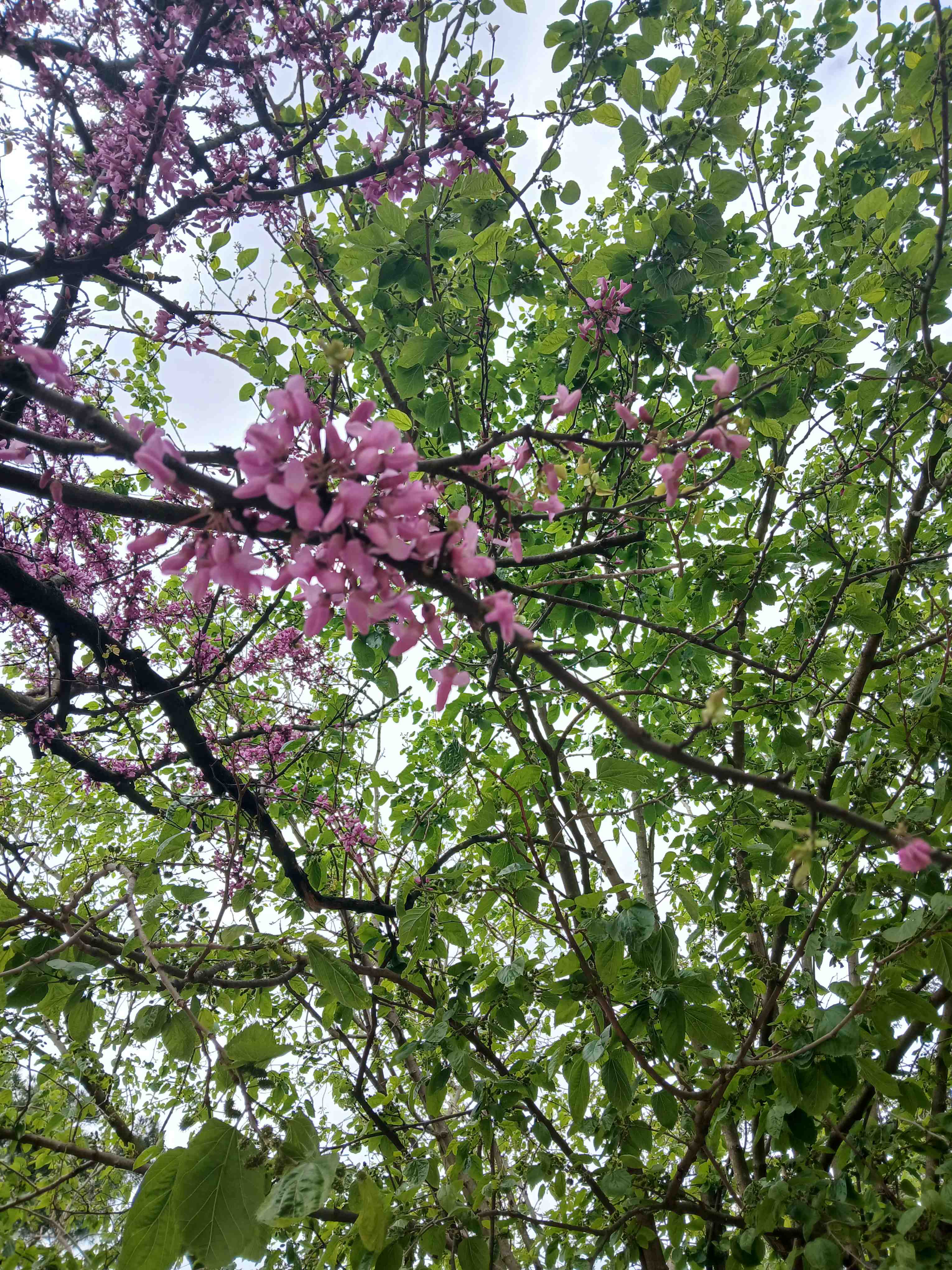 No s'ha trobat l'arxiu